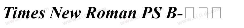 Times New Roman PS B字体转换